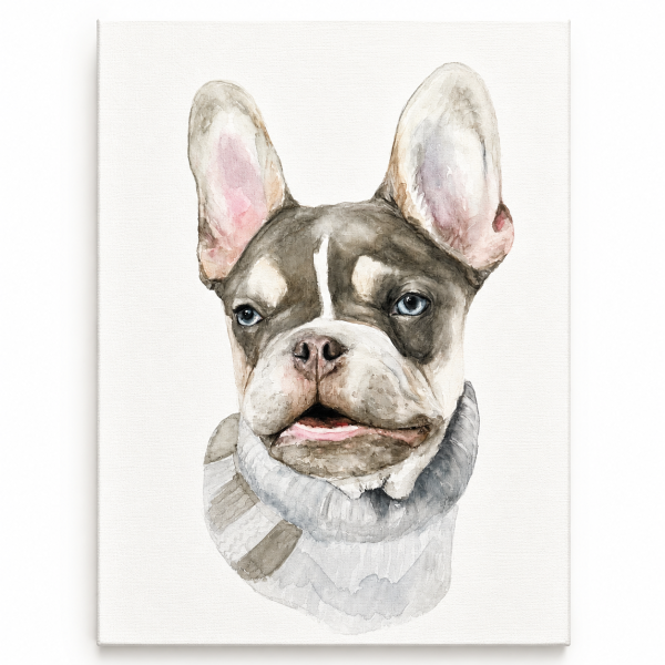 Hand-painted watercolor portrait of a French Bulldog on stretched canvas