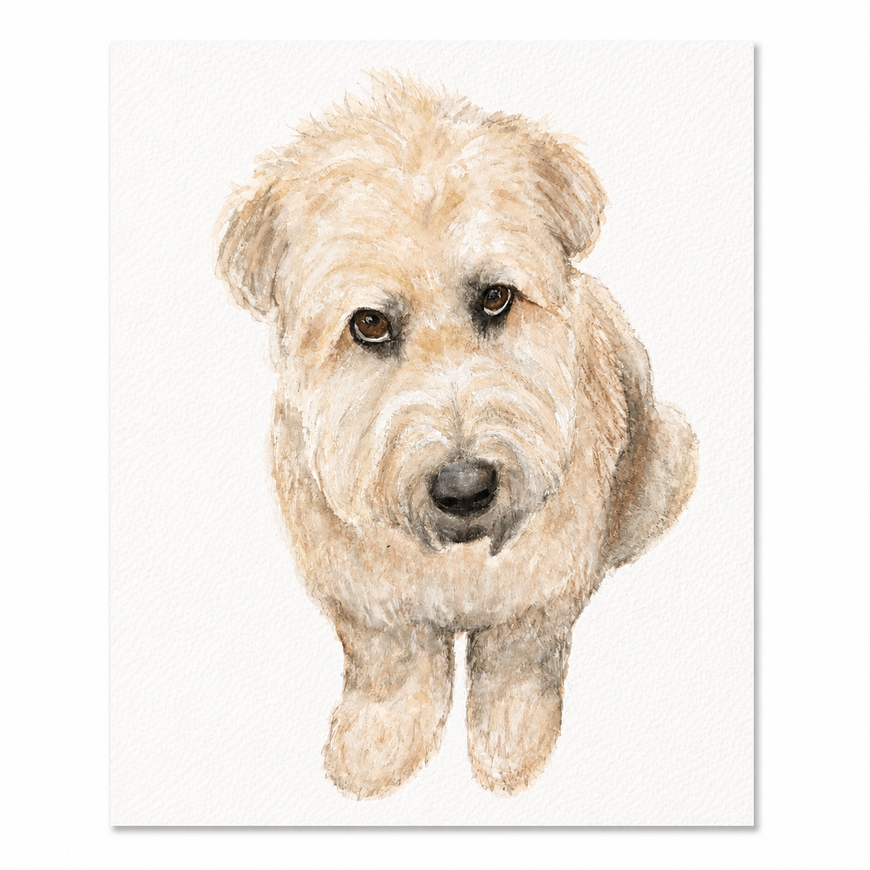 Hand-painted watercolor portrait of a cream-colored doodle dog on textured watercolor paper