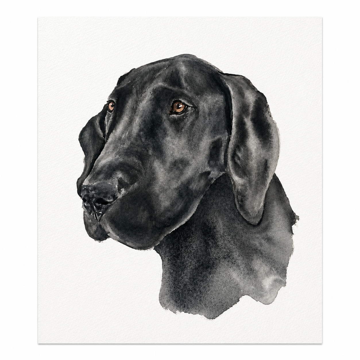 Hand-painted watercolor portrait of a black Great Dane on textured watercolor paper