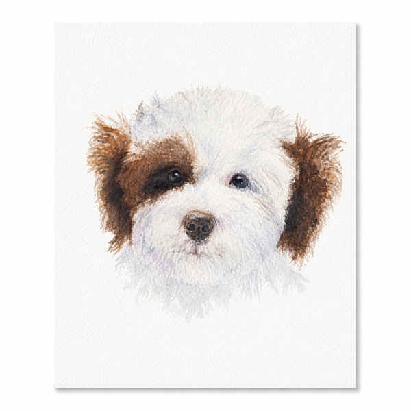 Hand-painted watercolor portrait of a fluffy white and brown puppy on textured watercolor paper
